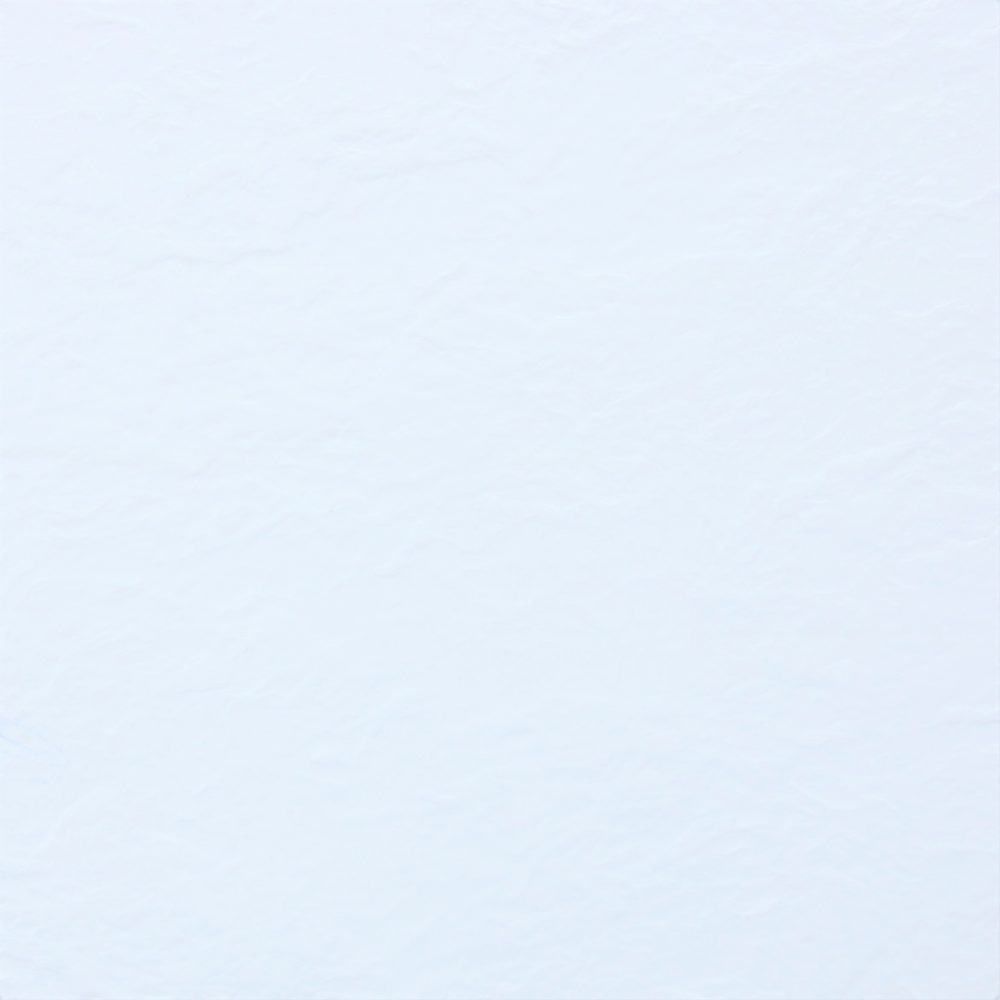 ACTIVE S BIJELA MAT 90 KV TUŠ KADA 900x900 mm - Slika 2