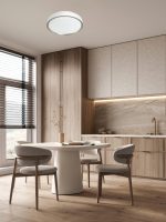 LED STROPNA SVJETILJKA HAZEL PVC D380 24W 1440 lm 3000-6500K IP20 WHITE - Slika 2